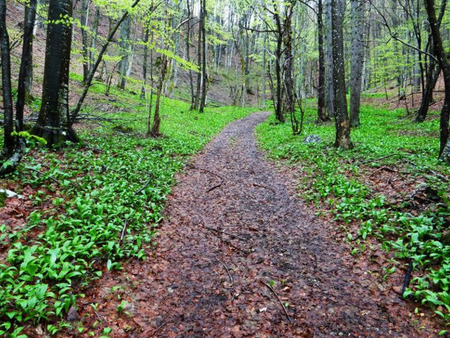 Posnetek zaslona 2025-07-24 102826